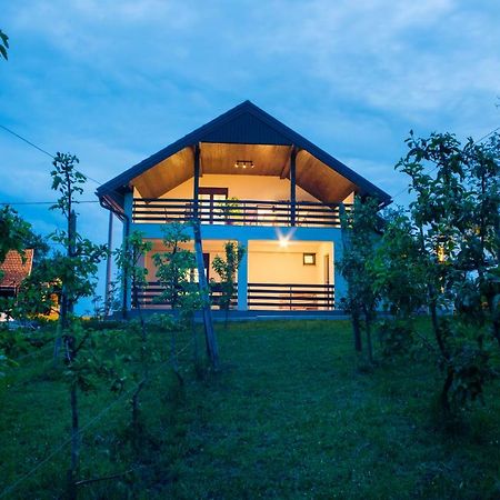 Holiday Home Dandelion With Hot Tub & Sauna Cetingrad Exteriör bild