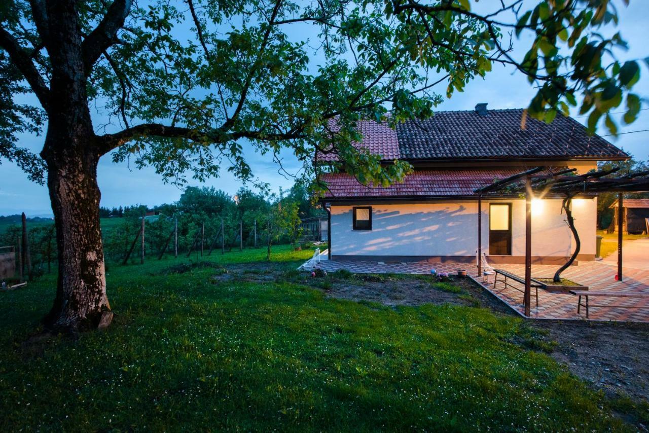 Holiday Home Dandelion With Hot Tub & Sauna Cetingrad Exteriör bild