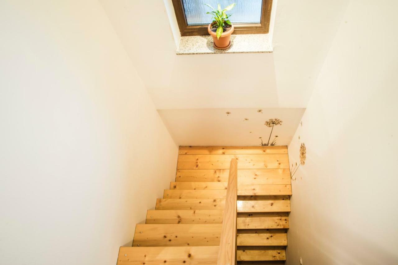 Holiday Home Dandelion With Hot Tub & Sauna Cetingrad Exteriör bild